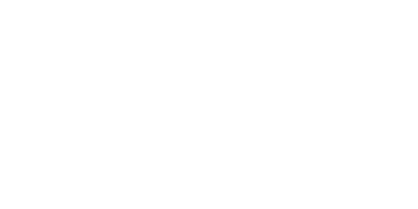 Wits Logo